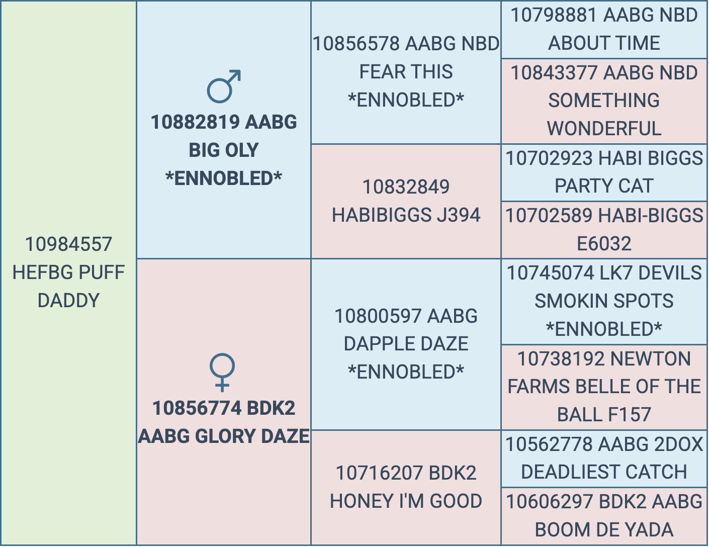 Screenshot 2026-03-12 at 5.40.01 PM