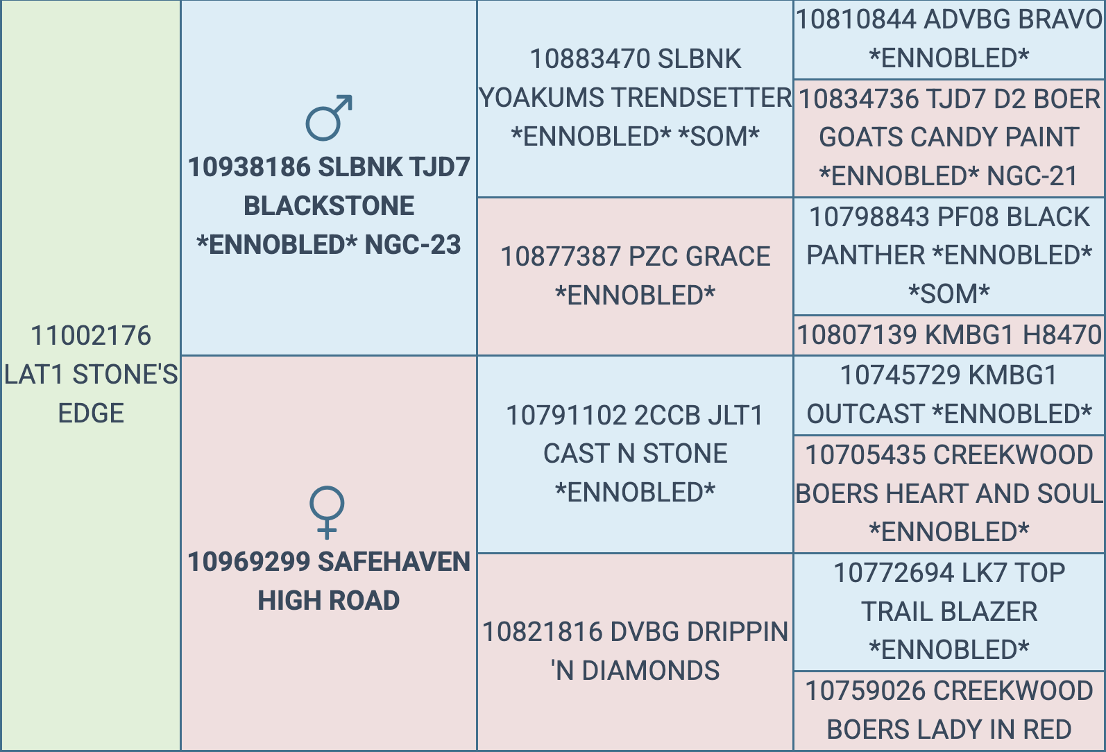 Screenshot 2026-03-12 at 5.54.37 PM