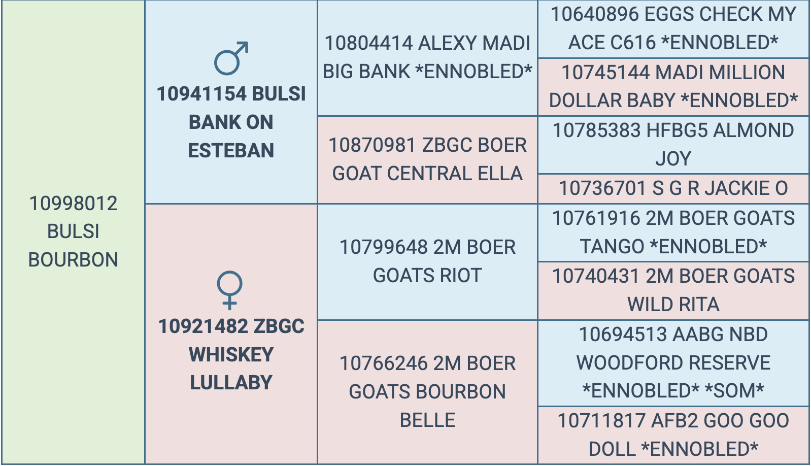 Screenshot 2026-03-12 at 6.04.40 PM