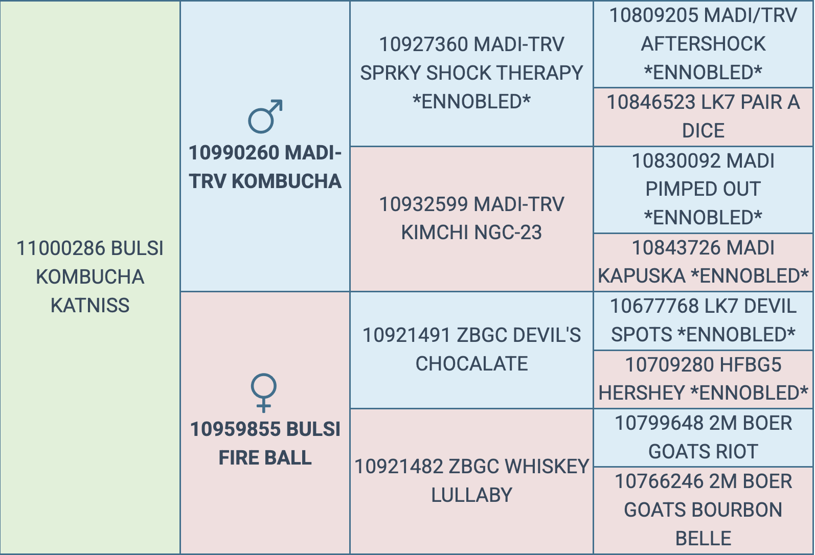 Screenshot 2026-03-12 at 6.10.46 PM