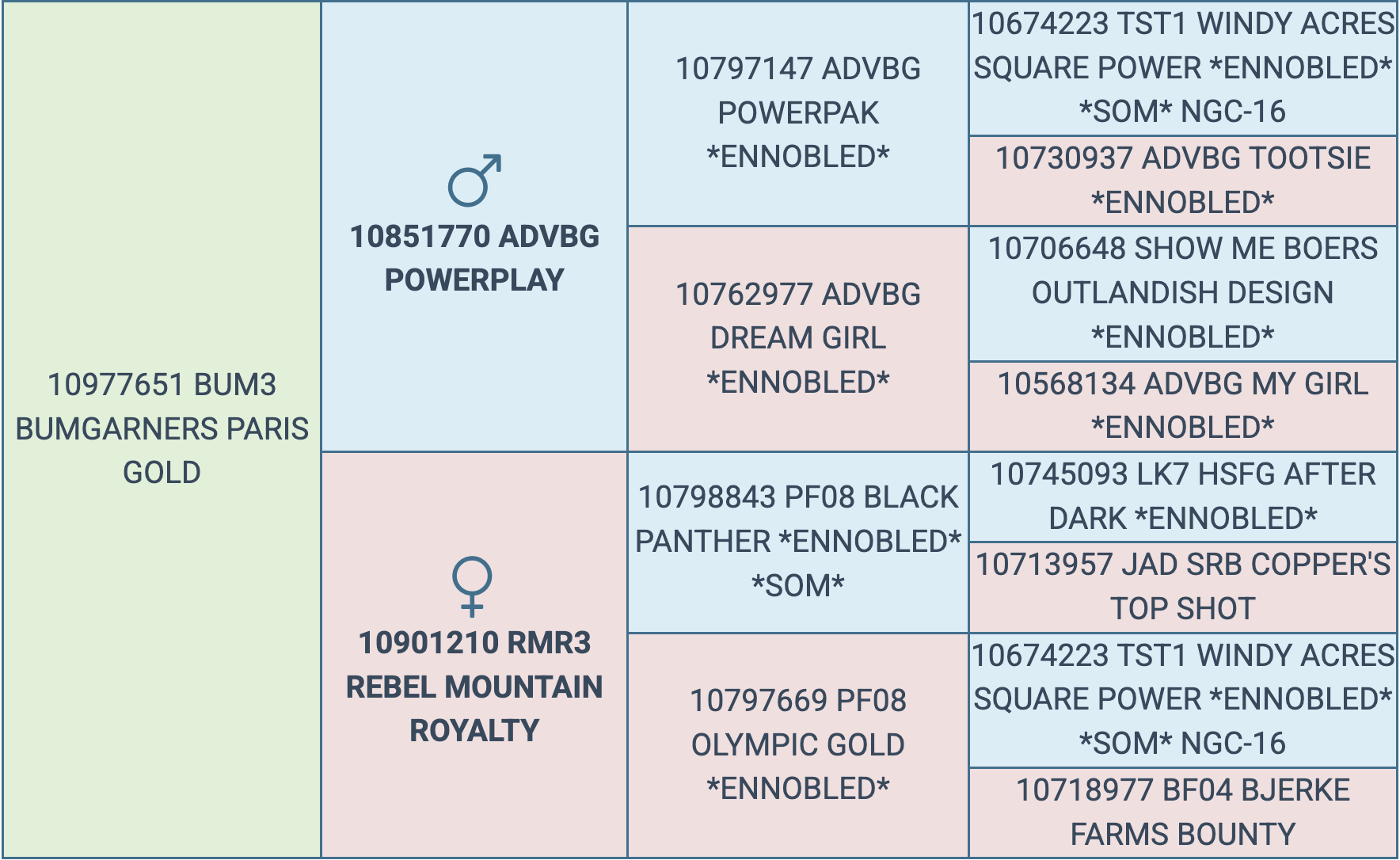 Screenshot 2026-03-13 at 1.53.44 PM