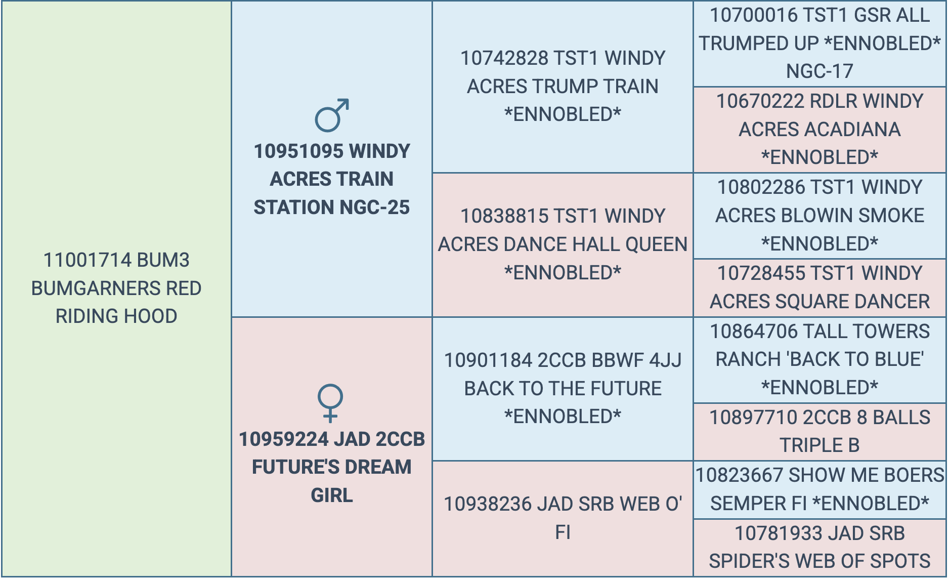 Screenshot 2026-03-13 at 1.57.18 PM