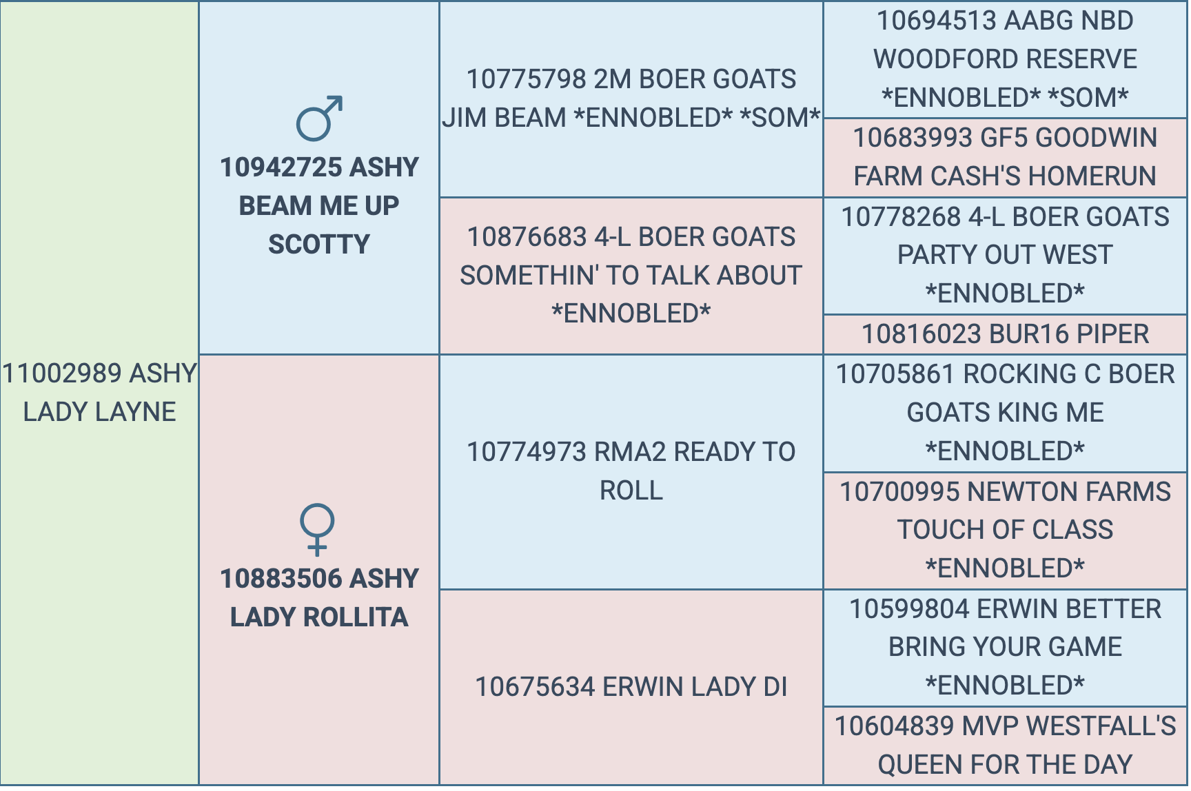 Screenshot 2026-03-13 at 2.03.46 PM