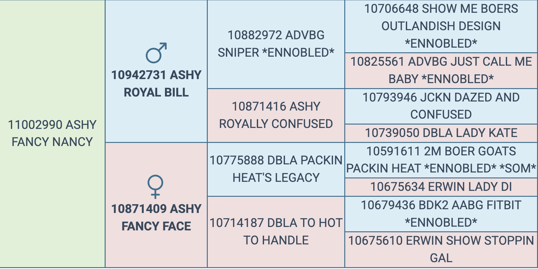 Screenshot 2026-03-13 at 2.07.35 PM