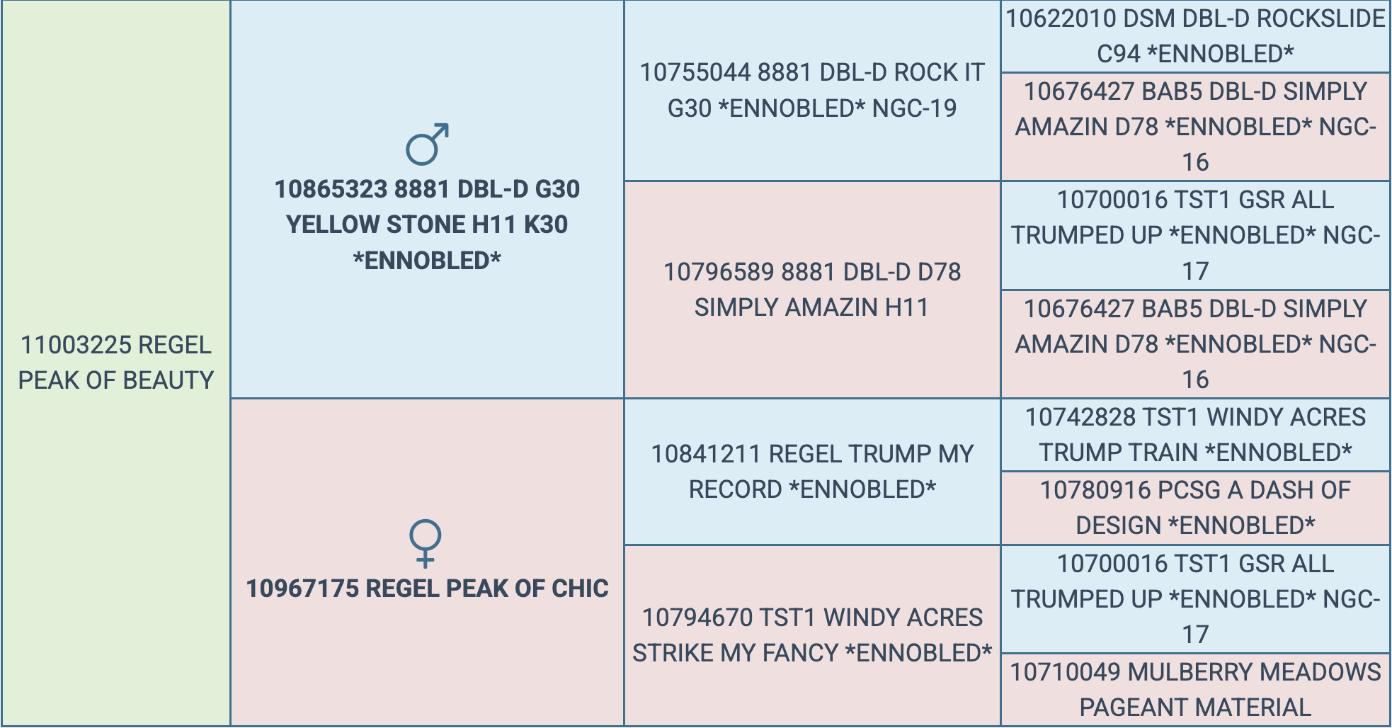 Screenshot 2026-03-13 at 2.11.21 PM