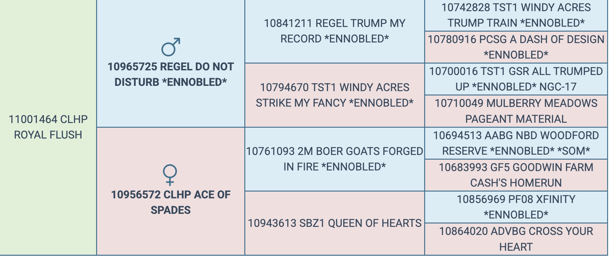 Screenshot 2026-03-13 at 2.17.21 PM