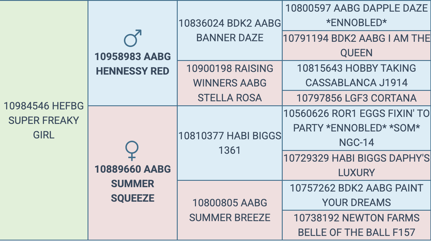 Screenshot 2026-03-13 at 2.38.00 PM