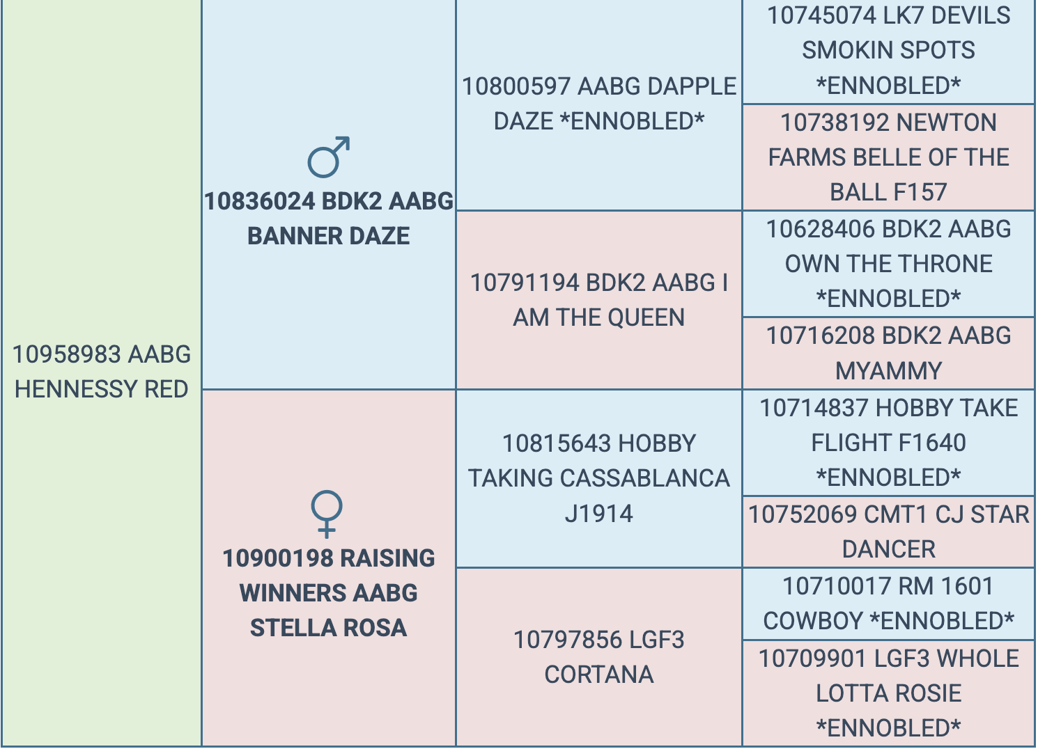 Screenshot 2026-03-13 at 2.42.43 PM