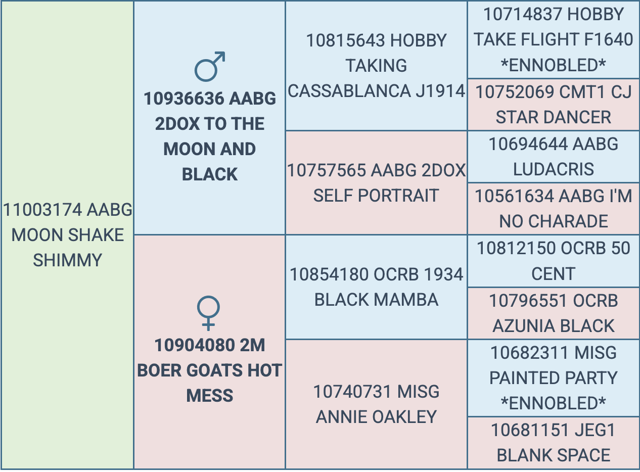 Screenshot 2026-03-15 at 10.01.58 AM