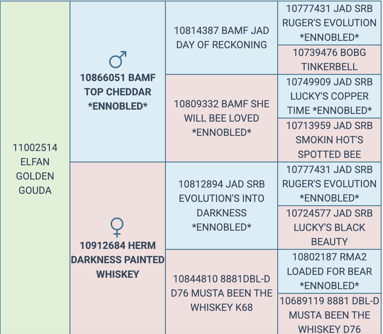 Screenshot 2026-03-15 at 10.09.35 AM