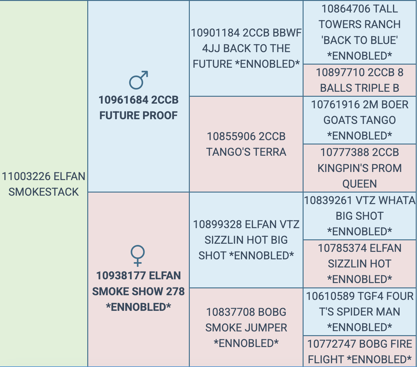 Screenshot 2026-03-15 at 10.13.42 AM