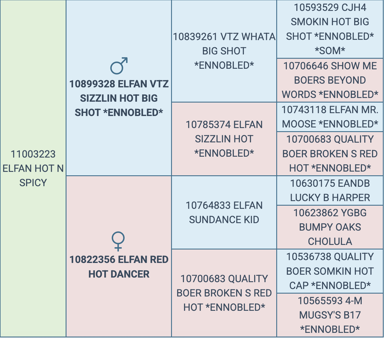 Screenshot 2026-03-15 at 10.19.31 AM