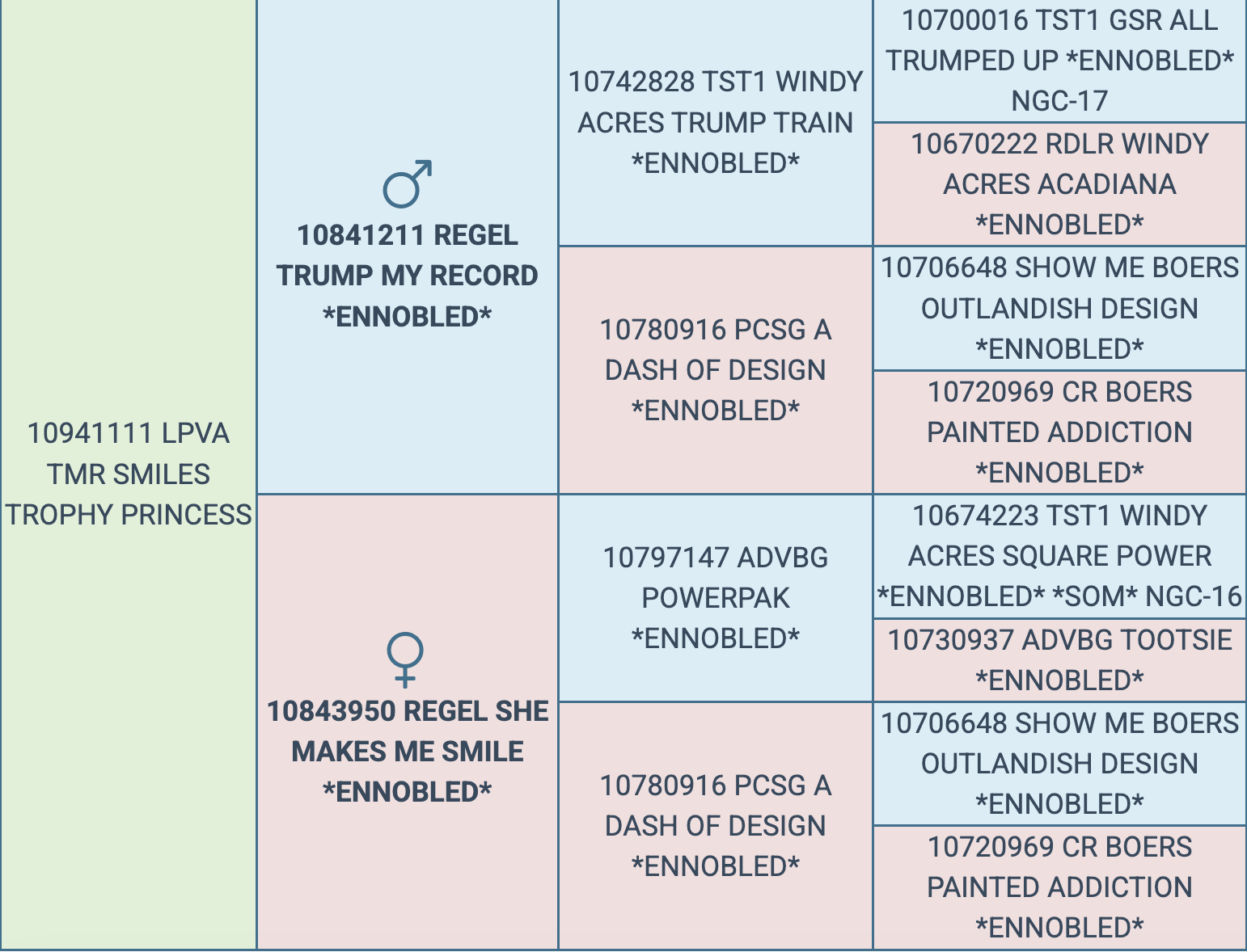 Screenshot 2026-03-15 at 10.23.29 AM