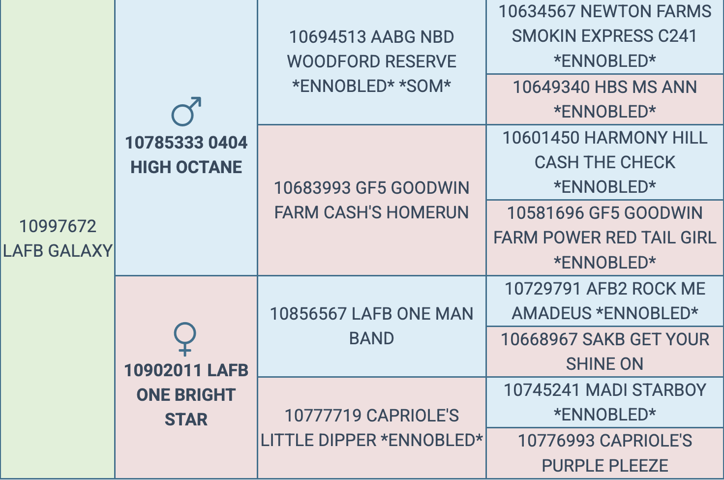 Screenshot 2026-03-15 at 10.28.10 AM