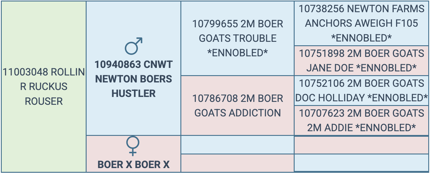 Screenshot 2026-03-15 at 10.37.56 AM