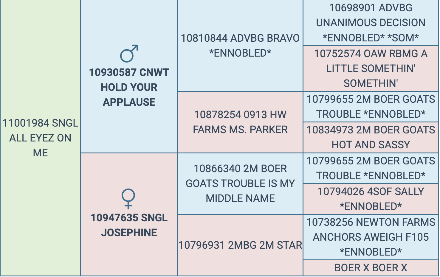 Screenshot 2026-03-15 at 10.46.42 AM