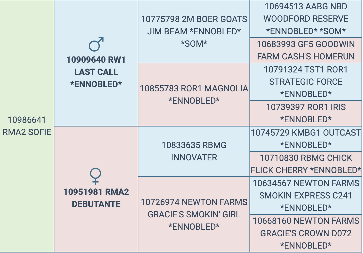 Screenshot 2026-03-15 at 11.21.28 AM