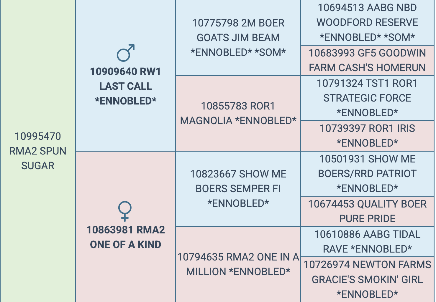 Screenshot 2026-03-15 at 11.24.44 AM