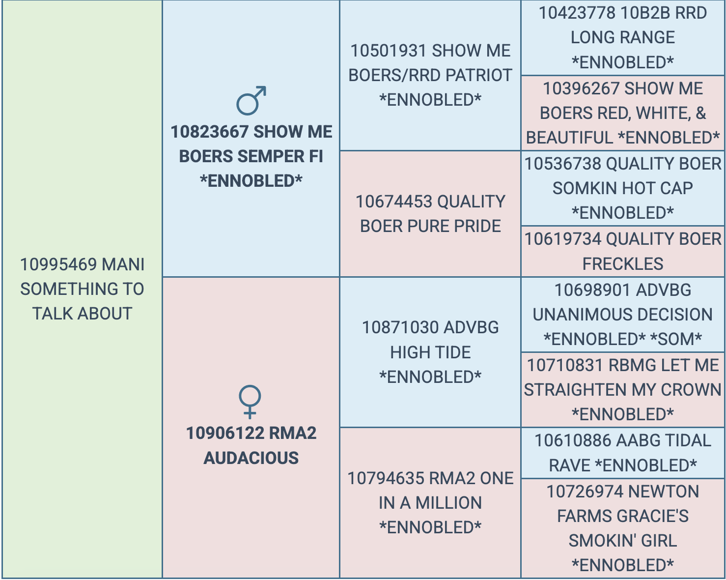 Screenshot 2026-03-15 at 11.31.31 AM