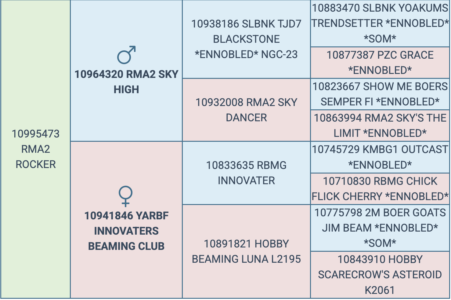 Screenshot 2026-03-15 at 11.33.59 AM