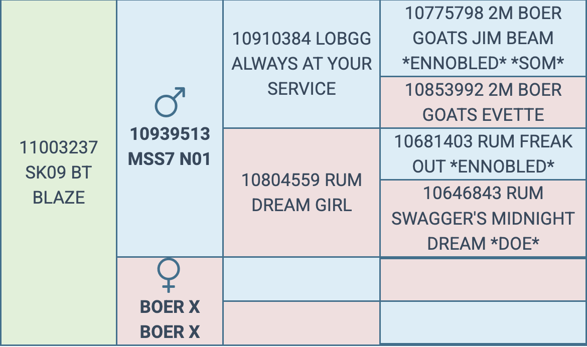 Screenshot 2026-03-16 at 5.42.24 PM