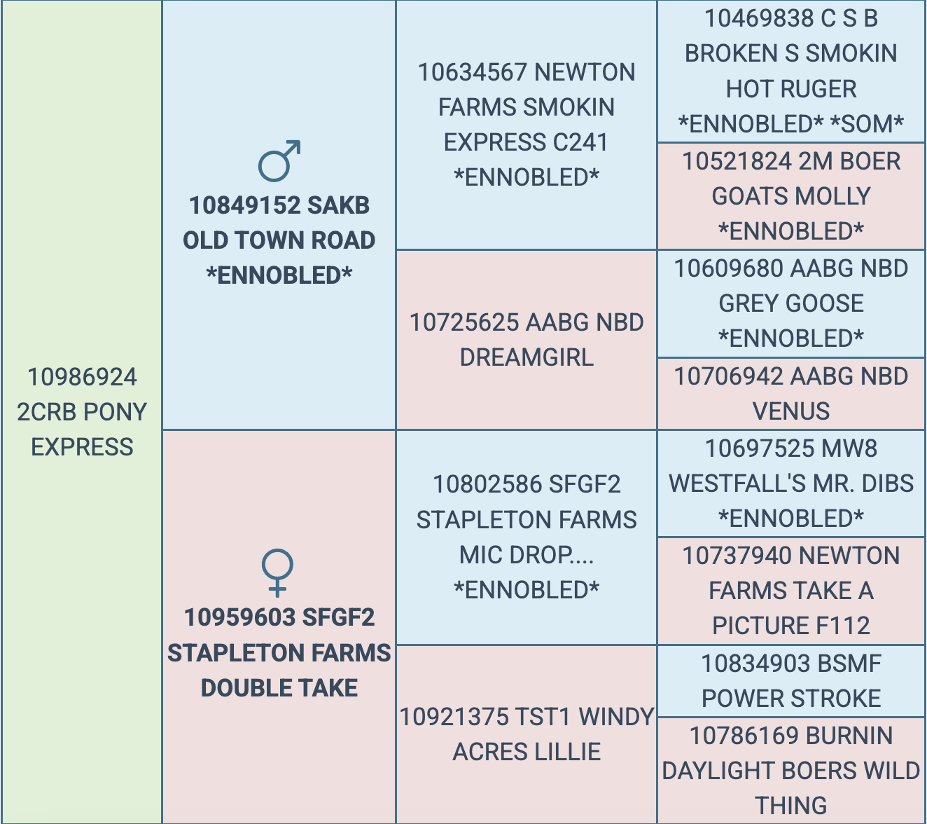 Screenshot 2026-03-16 at 6.06.59 PM