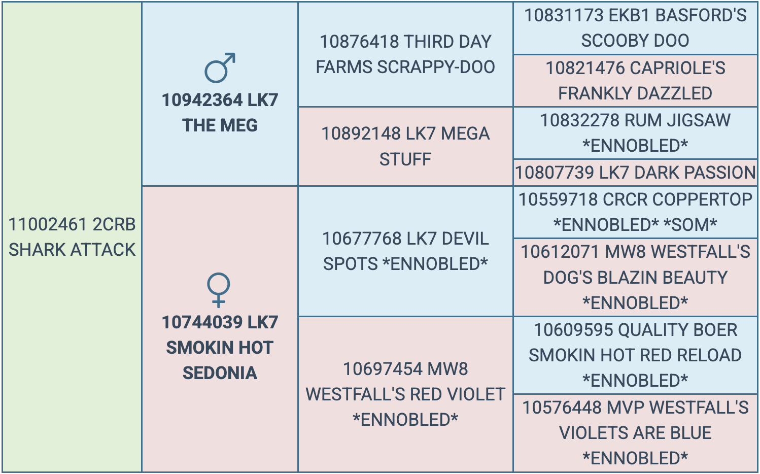 Screenshot 2026-03-16 at 6.22.55 PM