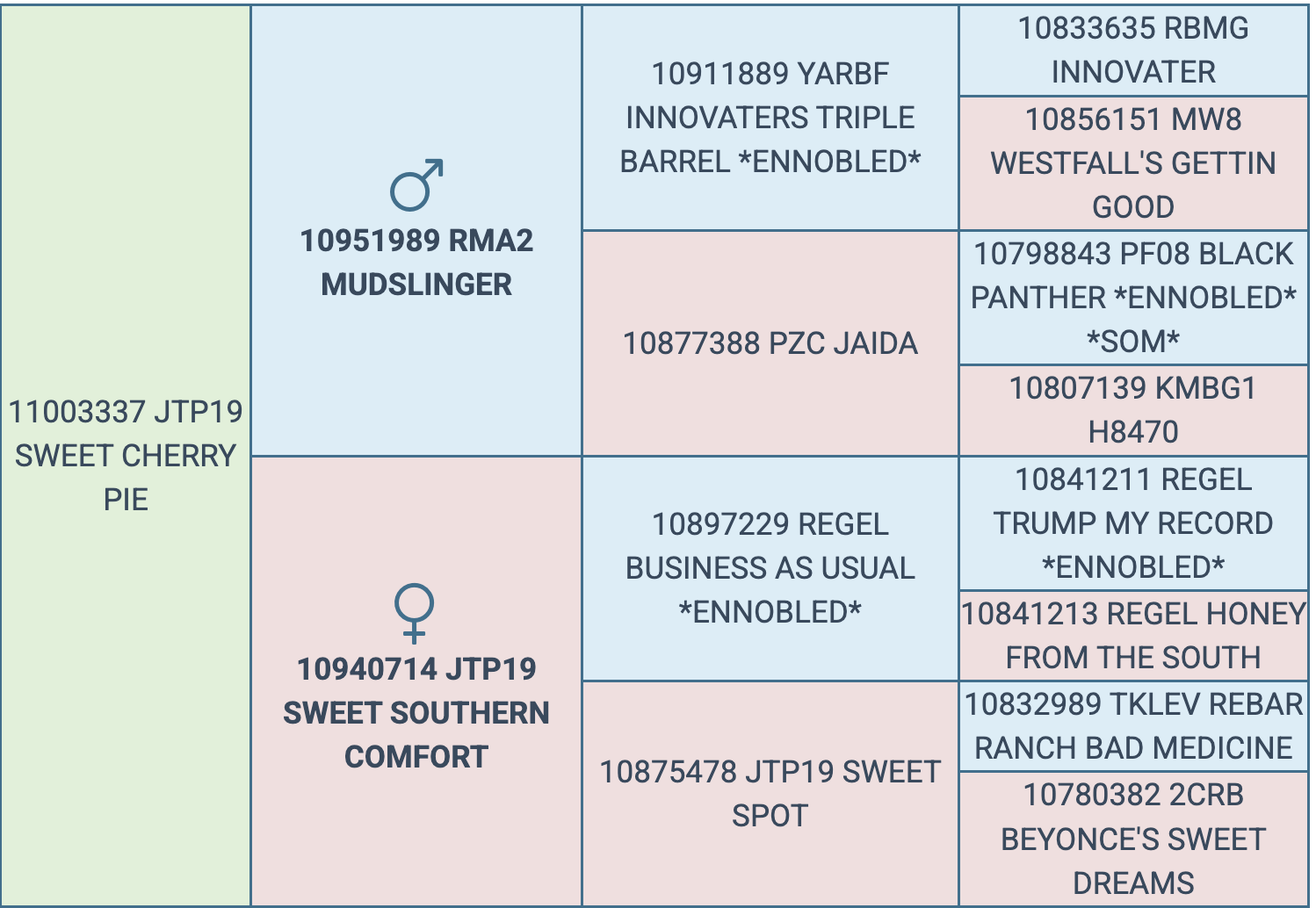 Screenshot 2026-03-16 at 6.33.22 PM