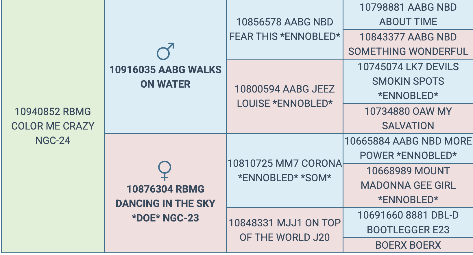 Screenshot 2026-03-16 at 6.41.20 AM