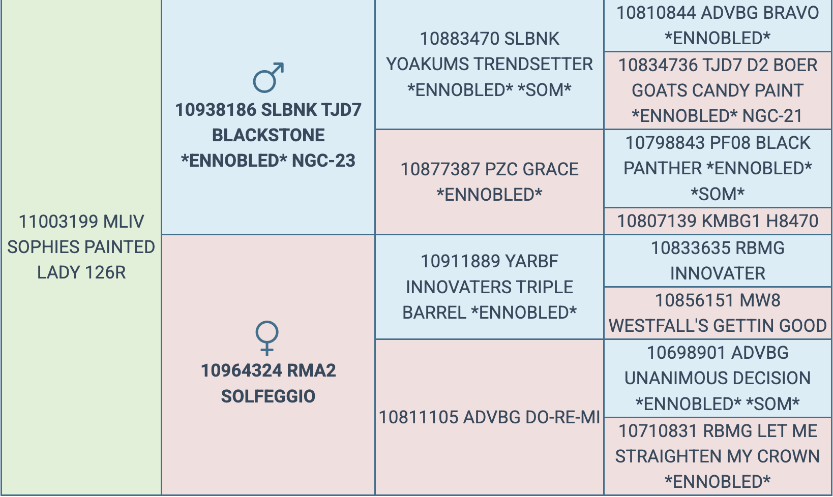 Screenshot 2026-03-16 at 7.07.45 AM