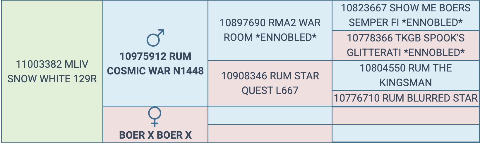 Screenshot 2026-03-16 at 7.21.24 AM