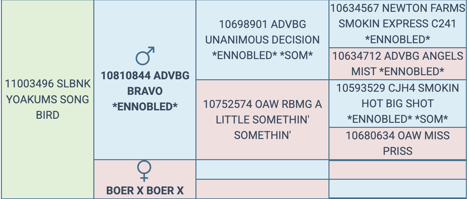 Screenshot 2026-03-17 at 1.18.50 PM