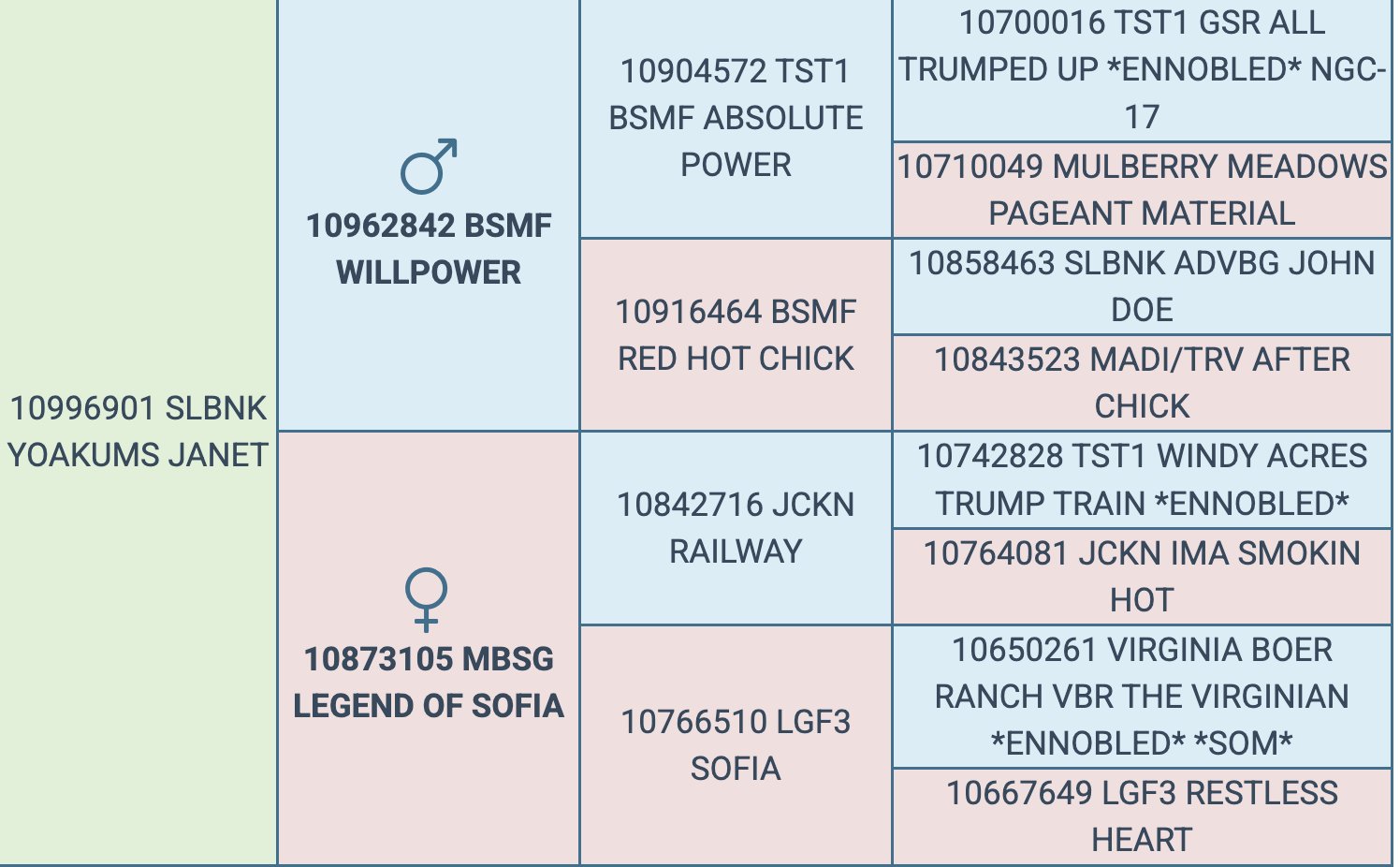 Screenshot 2026-03-17 at 12.55.37 PM