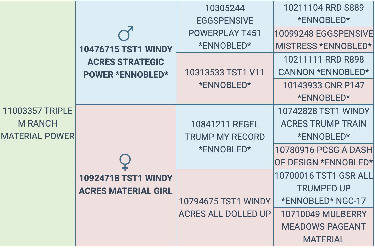 Screenshot 2026-03-17 at 6.01.45 PM