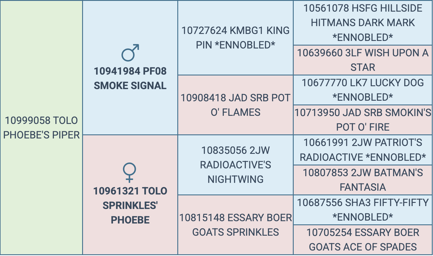Screenshot 2026-03-17 at 6.08.52 PM