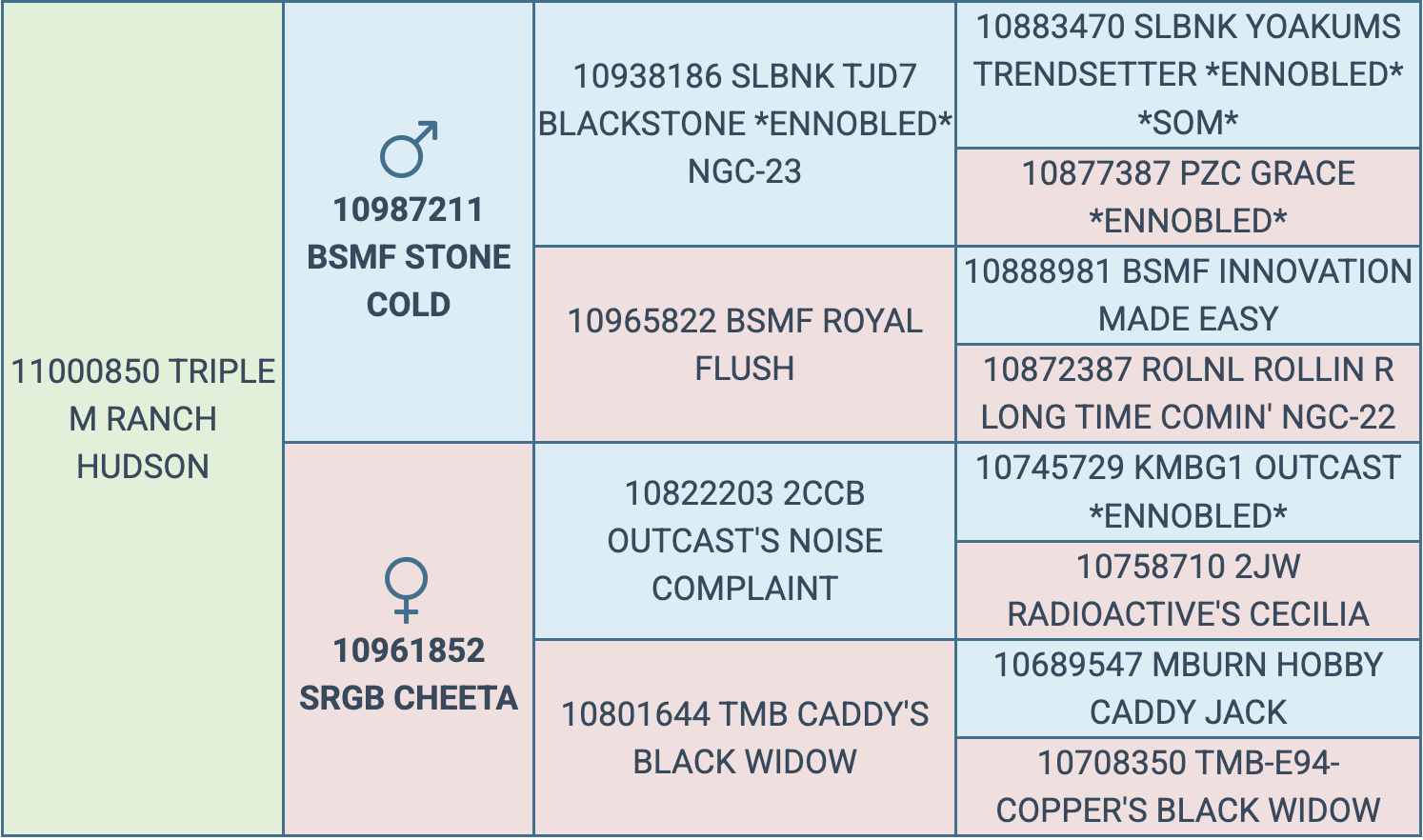 Screenshot 2026-03-17 at 6.14.38 PM