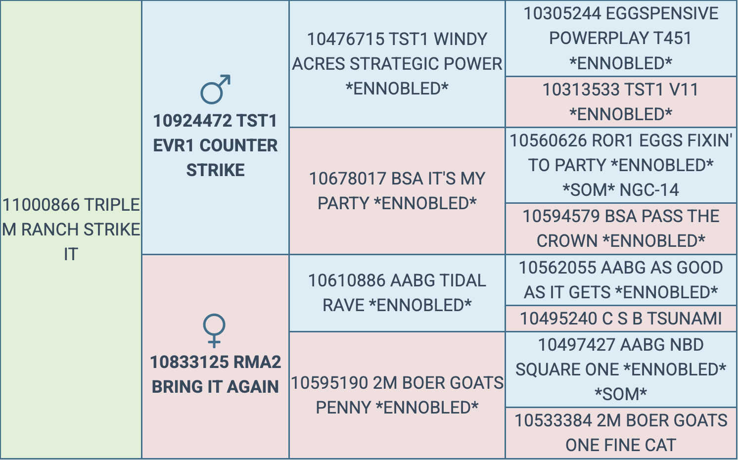 Screenshot 2026-03-17 at 6.20.30 PM