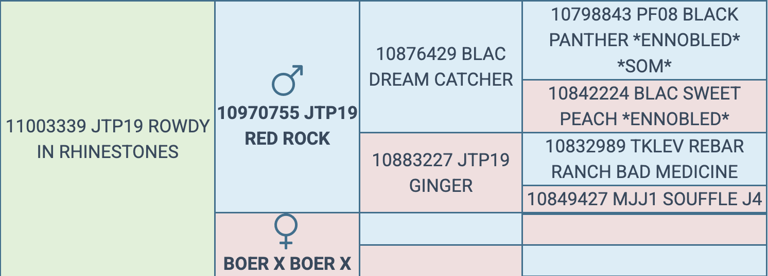 Screenshot 2026-03-17 at 6.28.50 AM