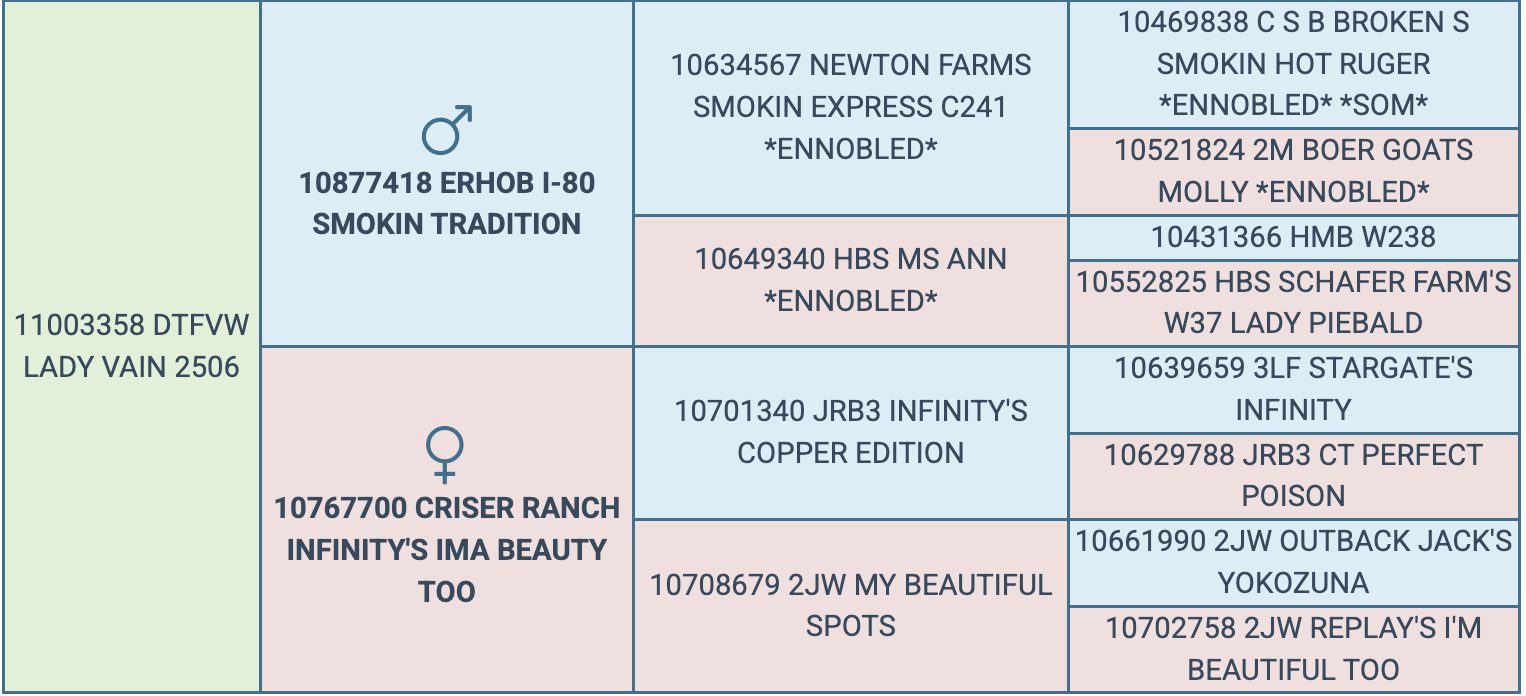 Screenshot 2026-03-17 at 6.31.10 PM