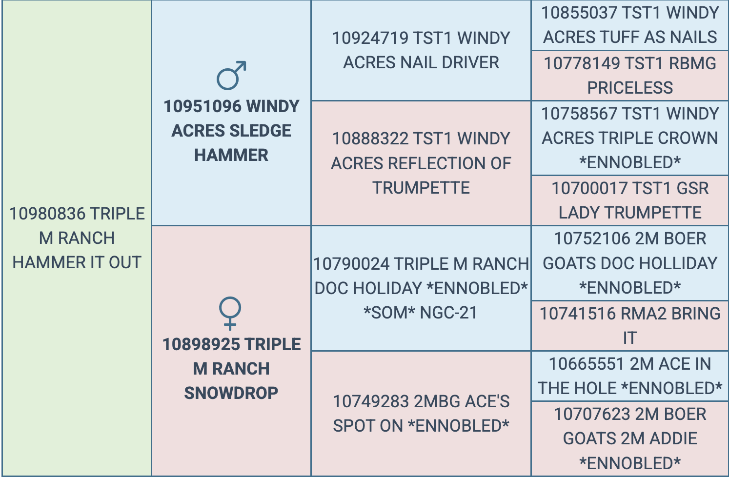 Screenshot 2026-03-17 at 6.34.59 AM