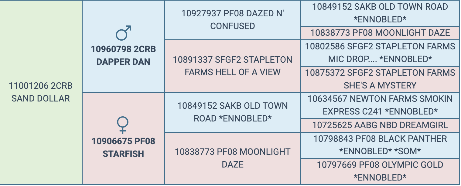 Screenshot 2026-03-17 at 6.35.06 PM