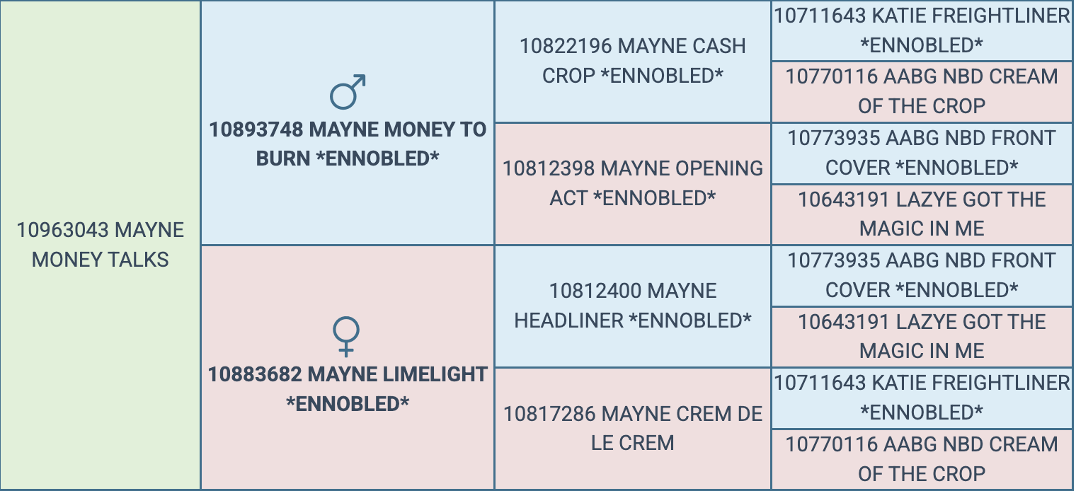 Screenshot 2026-03-17 at 6.38.25 PM