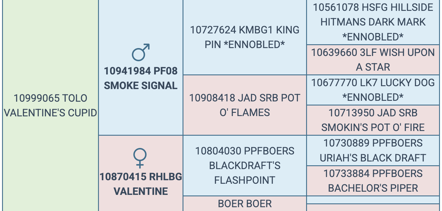 Screenshot 2026-03-17 at 6.40.08 AM