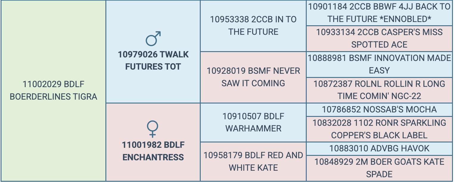 Screenshot 2026-03-17 at 6.43.03 PM