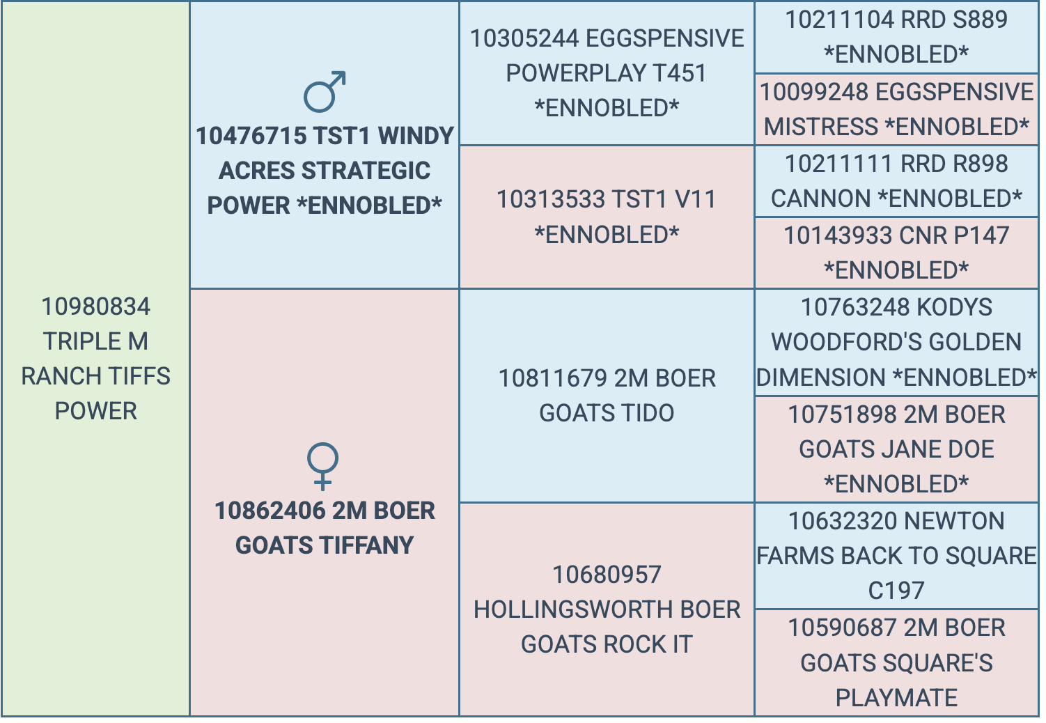 Screenshot 2026-03-17 at 6.45.46 AM