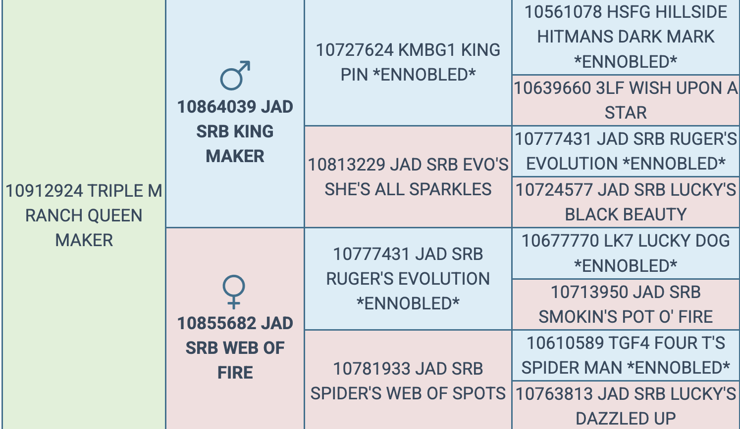 Screenshot 2026-03-17 at 6.51.46 AM