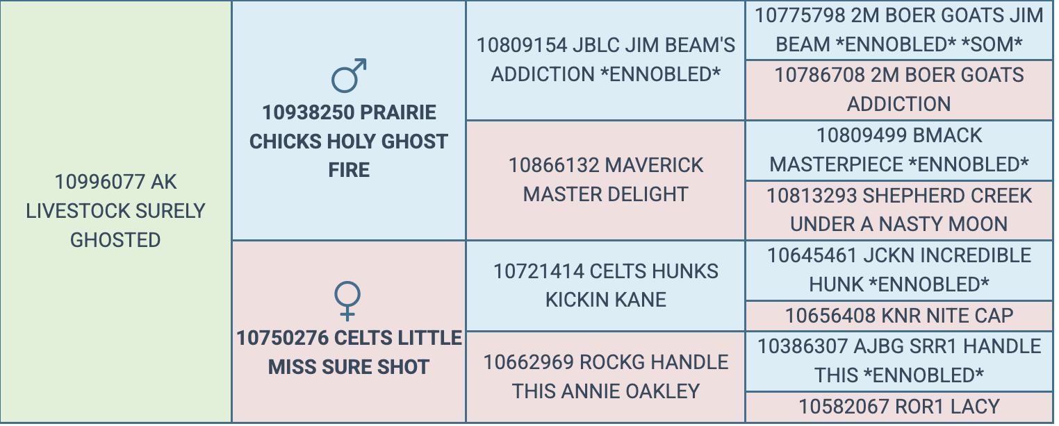 Screenshot 2026-03-18 at 10.05.42 AM