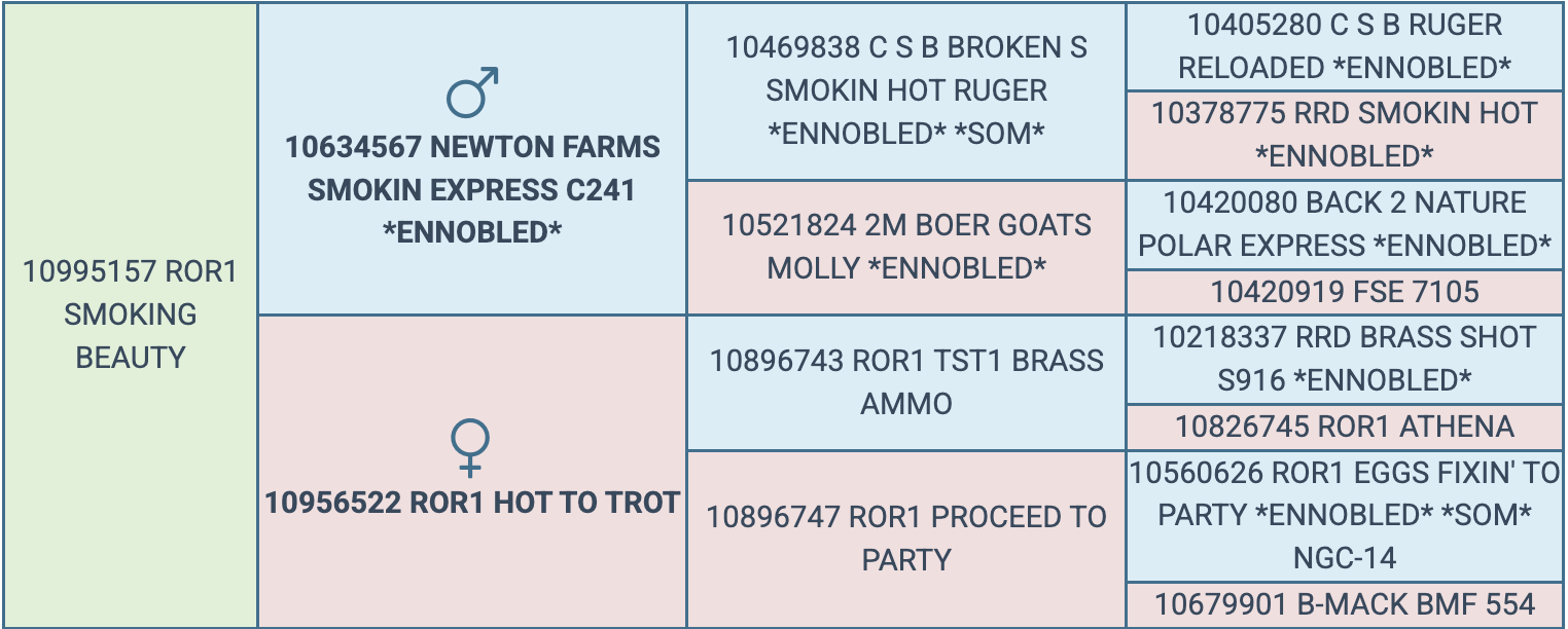 Screenshot 2026-03-18 at 10.08.53 AM