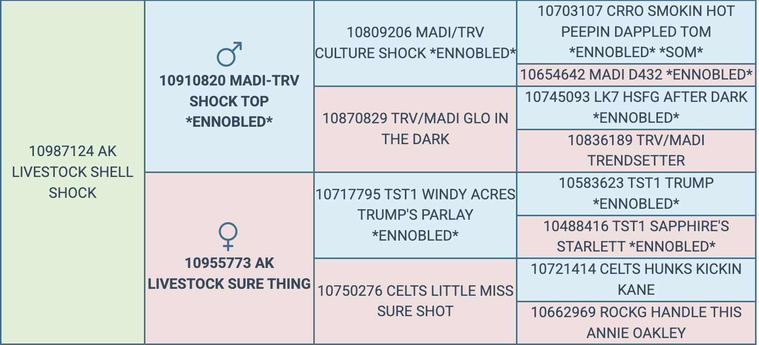 Screenshot 2026-03-18 at 10.11.42 AM
