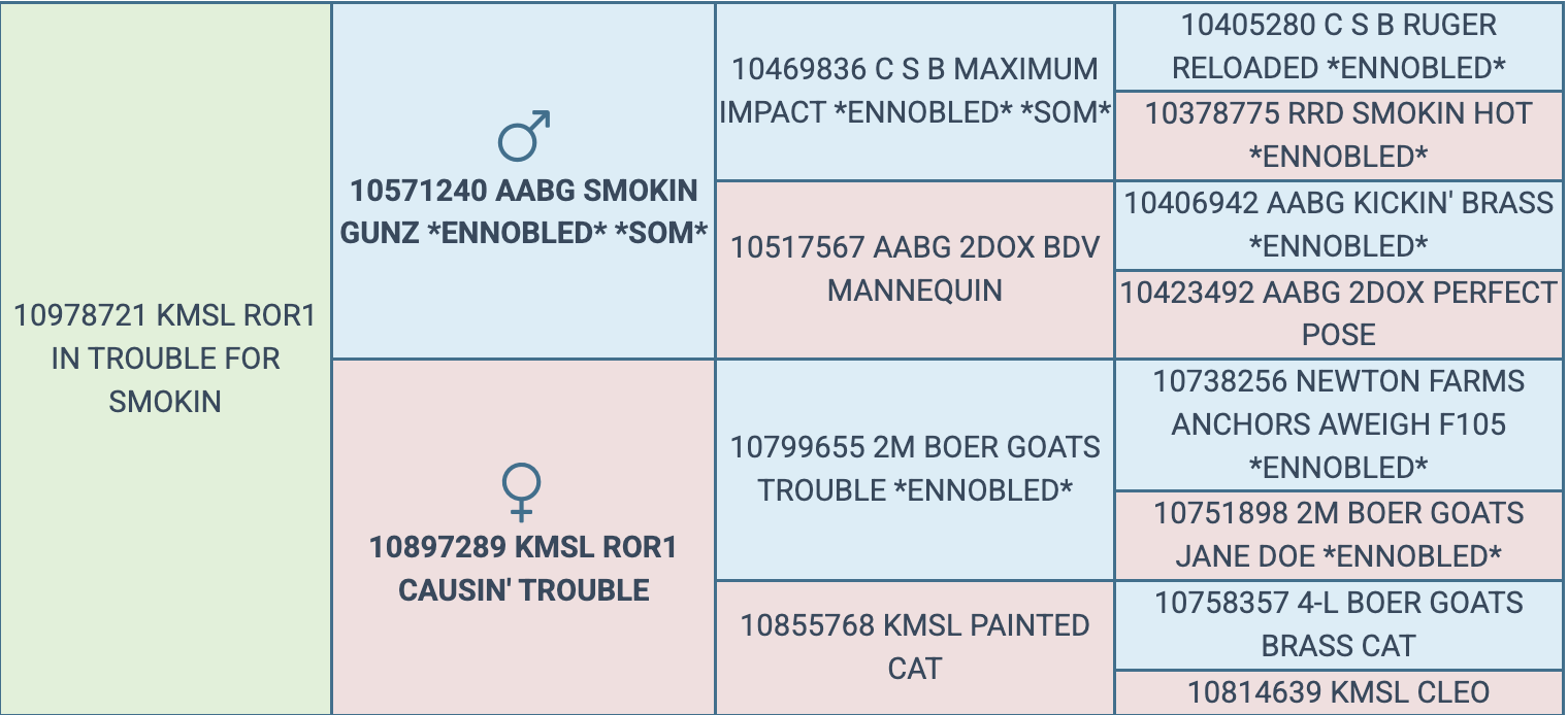Screenshot 2026-03-18 at 10.18.39 AM